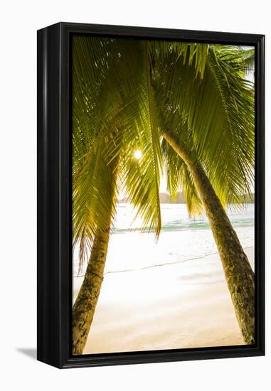 Palm Trees and Tropical Beach, Southern Mahe, Seychelles-Jon Arnold-Framed Premier Image Canvas