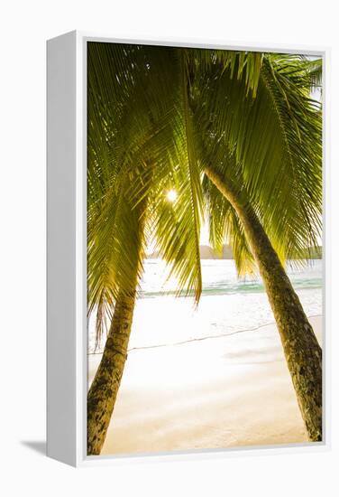 Palm Trees and Tropical Beach, Southern Mahe, Seychelles-Jon Arnold-Framed Premier Image Canvas