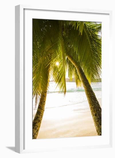 Palm Trees and Tropical Beach, Southern Mahe, Seychelles-Jon Arnold-Framed Photographic Print