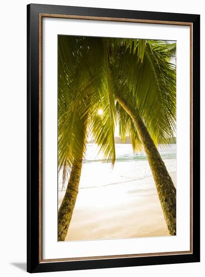 Palm Trees and Tropical Beach, Southern Mahe, Seychelles-Jon Arnold-Framed Photographic Print