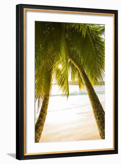 Palm Trees and Tropical Beach, Southern Mahe, Seychelles-Jon Arnold-Framed Photographic Print