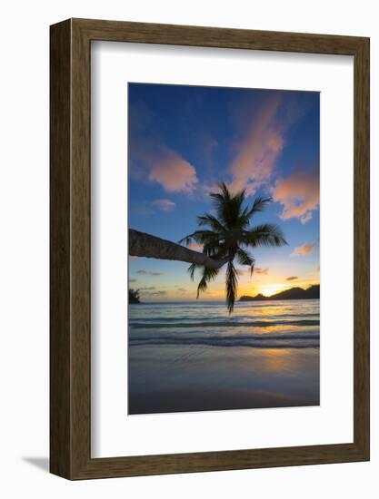 Palm Trees and Tropical Beach, Southern Mahe, Seychelles-Jon Arnold-Framed Photographic Print