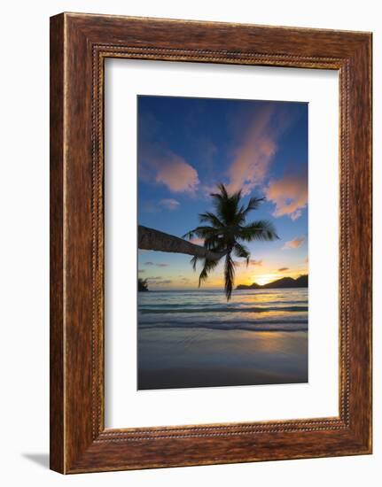 Palm Trees and Tropical Beach, Southern Mahe, Seychelles-Jon Arnold-Framed Photographic Print