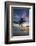 Palm Trees and Tropical Beach, Southern Mahe, Seychelles-Jon Arnold-Framed Photographic Print