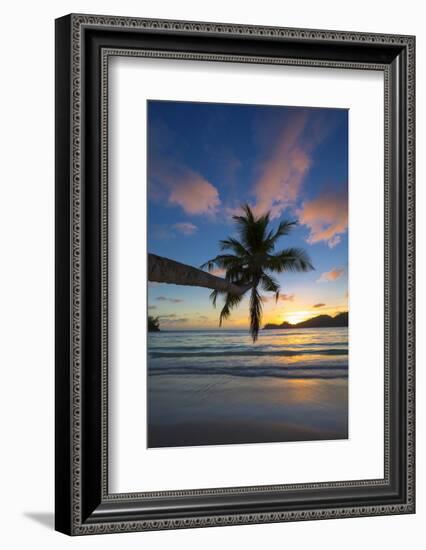 Palm Trees and Tropical Beach, Southern Mahe, Seychelles-Jon Arnold-Framed Photographic Print