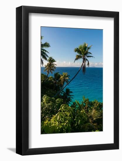 Palm trees and tropical vegetation on a beach in the Indian Ocean. Seychelles.-Sergio Pitamitz-Framed Photographic Print