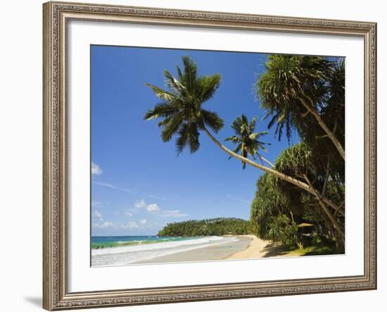 Palm Trees and West Point of the South Coast Whale Watch Surf Beach at Mirissa, Near Matara, Southe-Robert Francis-Framed Photographic Print