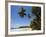 Palm Trees and West Point of the South Coast Whale Watch Surf Beach at Mirissa, Near Matara, Southe-Robert Francis-Framed Photographic Print