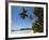 Palm Trees and West Point of the South Coast Whale Watch Surf Beach at Mirissa, Near Matara, Southe-Robert Francis-Framed Photographic Print