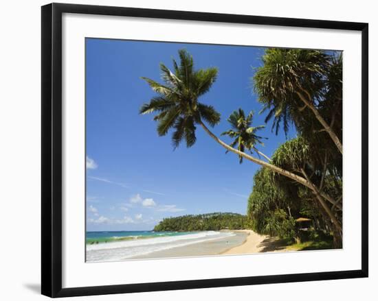 Palm Trees and West Point of the South Coast Whale Watch Surf Beach at Mirissa, Near Matara, Southe-Robert Francis-Framed Photographic Print