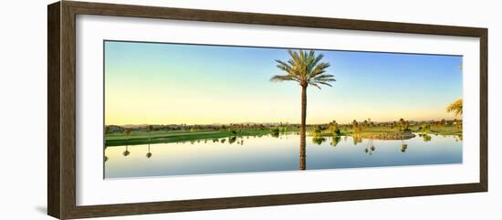 Palm trees around lake on golf course, Sun City, Phoenix, Arizona, USA-Panoramic Images-Framed Photographic Print