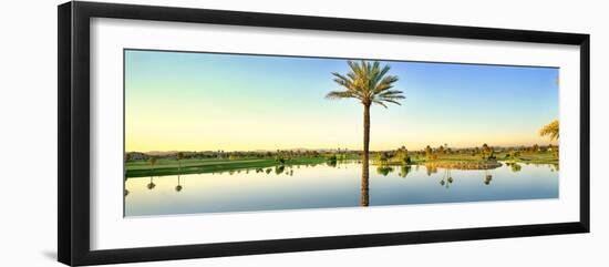 Palm trees around lake on golf course, Sun City, Phoenix, Arizona, USA-Panoramic Images-Framed Photographic Print