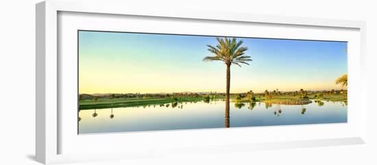 Palm trees around lake on golf course, Sun City, Phoenix, Arizona, USA-Panoramic Images-Framed Photographic Print