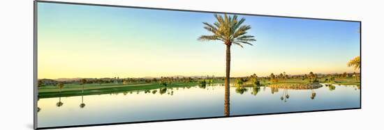 Palm trees around lake on golf course, Sun City, Phoenix, Arizona, USA-Panoramic Images-Mounted Photographic Print