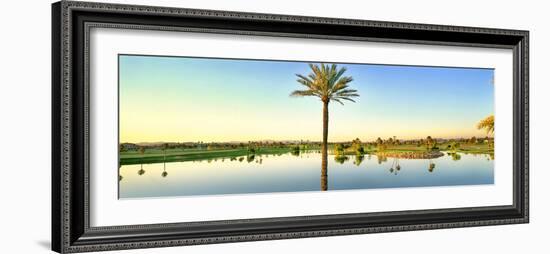 Palm trees around lake on golf course, Sun City, Phoenix, Arizona, USA-Panoramic Images-Framed Photographic Print