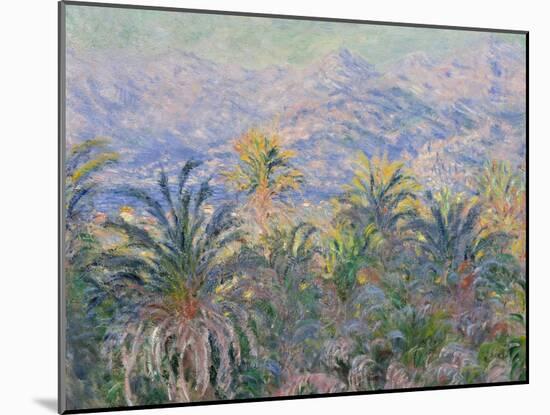 Palm Trees at Bordighera, 1884-Claude Monet-Mounted Giclee Print