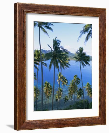 Palm Trees at Matangi Island, Qamea Island in Background, Fiji, South Pacific Islands-Lousie Murray-Framed Photographic Print