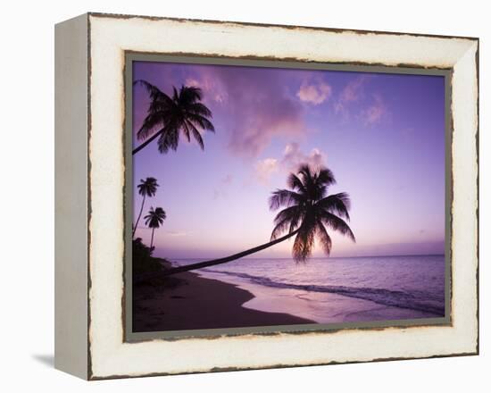 Palm Trees at Sunset, Coconut Grove Beach at Cade's Bay, Nevis, Caribbean-Greg Johnston-Framed Premier Image Canvas