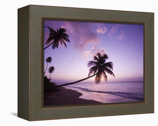 Palm Trees at Sunset, Coconut Grove Beach at Cade's Bay, Nevis, Caribbean-Greg Johnston-Framed Premier Image Canvas