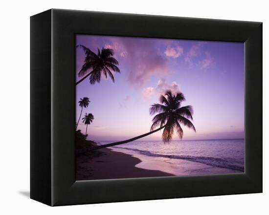 Palm Trees at Sunset, Coconut Grove Beach at Cade's Bay, Nevis, Caribbean-Greg Johnston-Framed Premier Image Canvas