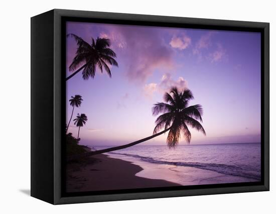 Palm Trees at Sunset, Coconut Grove Beach at Cade's Bay, Nevis, Caribbean-Greg Johnston-Framed Premier Image Canvas