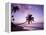 Palm Trees at Sunset, Coconut Grove Beach at Cade's Bay, Nevis, Caribbean-Greg Johnston-Framed Premier Image Canvas