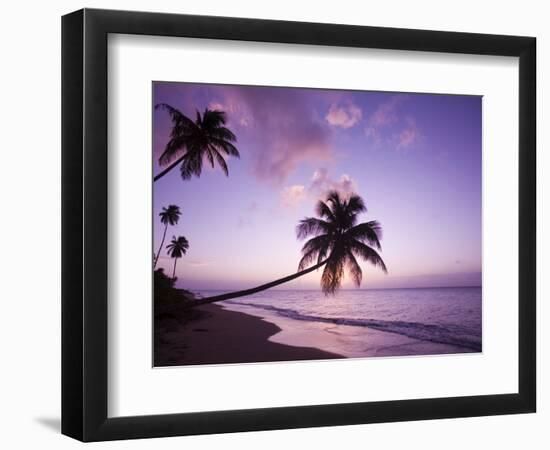 Palm Trees at Sunset, Coconut Grove Beach at Cade's Bay, Nevis, Caribbean-Greg Johnston-Framed Photographic Print