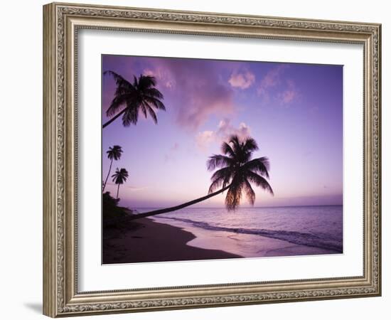 Palm Trees at Sunset, Coconut Grove Beach at Cade's Bay, Nevis, Caribbean-Greg Johnston-Framed Photographic Print