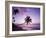 Palm Trees at Sunset, Coconut Grove Beach at Cade's Bay, Nevis, Caribbean-Greg Johnston-Framed Photographic Print