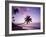 Palm Trees at Sunset, Coconut Grove Beach at Cade's Bay, Nevis, Caribbean-Greg Johnston-Framed Photographic Print