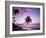 Palm Trees at Sunset, Coconut Grove Beach at Cade's Bay, Nevis, Caribbean-Greg Johnston-Framed Photographic Print