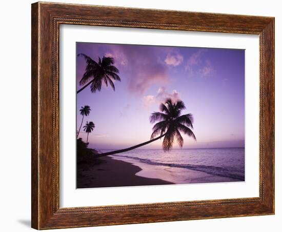 Palm Trees at Sunset, Coconut Grove Beach at Cade's Bay, Nevis, Caribbean-Greg Johnston-Framed Photographic Print