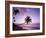 Palm Trees at Sunset, Coconut Grove Beach at Cade's Bay, Nevis, Caribbean-Greg Johnston-Framed Photographic Print