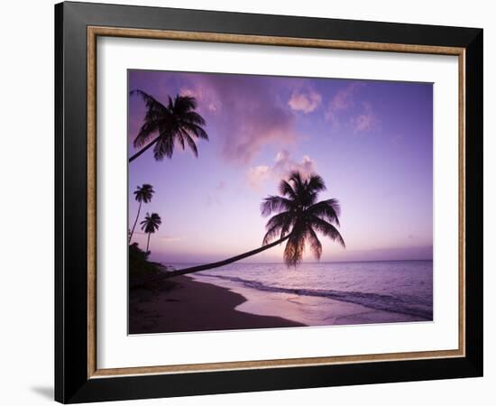 Palm Trees at Sunset, Coconut Grove Beach at Cade's Bay, Nevis, Caribbean-Greg Johnston-Framed Photographic Print