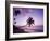 Palm Trees at Sunset, Coconut Grove Beach at Cade's Bay, Nevis, Caribbean-Greg Johnston-Framed Photographic Print