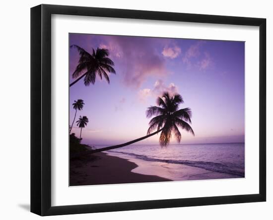 Palm Trees at Sunset, Coconut Grove Beach at Cade's Bay, Nevis, Caribbean-Greg Johnston-Framed Photographic Print