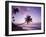 Palm Trees at Sunset, Coconut Grove Beach at Cade's Bay, Nevis, Caribbean-Greg Johnston-Framed Photographic Print