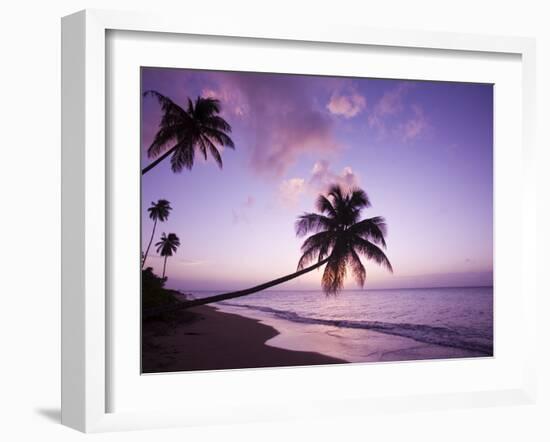 Palm Trees at Sunset, Coconut Grove Beach at Cade's Bay, Nevis, Caribbean-Greg Johnston-Framed Photographic Print