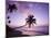 Palm Trees at Sunset, Coconut Grove Beach at Cade's Bay, Nevis, Caribbean-Greg Johnston-Mounted Photographic Print