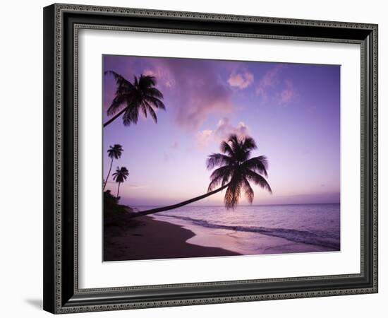 Palm Trees at Sunset, Coconut Grove Beach at Cade's Bay, Nevis, Caribbean-Greg Johnston-Framed Photographic Print