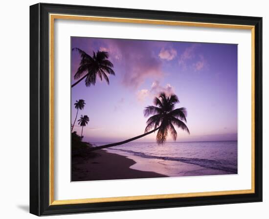 Palm Trees at Sunset, Coconut Grove Beach at Cade's Bay, Nevis, Caribbean-Greg Johnston-Framed Photographic Print