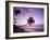 Palm Trees at Sunset, Coconut Grove Beach at Cade's Bay, Nevis, Caribbean-Greg Johnston-Framed Photographic Print