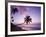 Palm Trees at Sunset, Coconut Grove Beach at Cade's Bay, Nevis, Caribbean-Greg Johnston-Framed Photographic Print