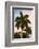 Palm Trees at Sunset - Florida-Philippe Hugonnard-Framed Photographic Print