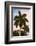 Palm Trees at Sunset - Florida-Philippe Hugonnard-Framed Photographic Print