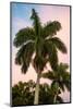 Palm Trees at Sunset - Florida-Philippe Hugonnard-Mounted Photographic Print