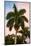 Palm Trees at Sunset - Florida-Philippe Hugonnard-Mounted Photographic Print