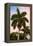 Palm Trees at Sunset - Florida-Philippe Hugonnard-Framed Premier Image Canvas