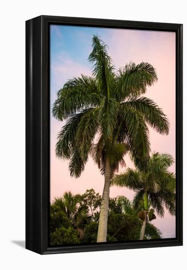 Palm Trees at Sunset - Florida-Philippe Hugonnard-Framed Premier Image Canvas