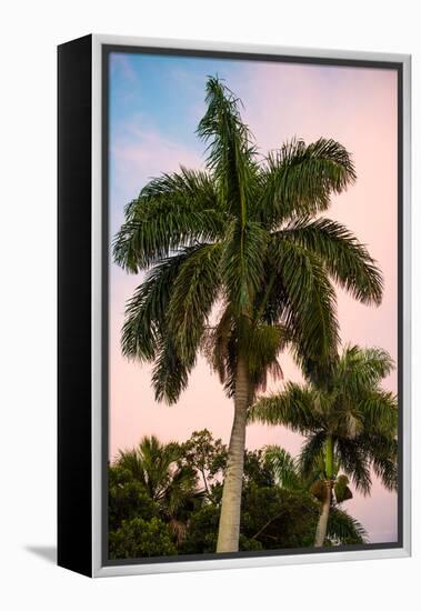 Palm Trees at Sunset - Florida-Philippe Hugonnard-Framed Premier Image Canvas